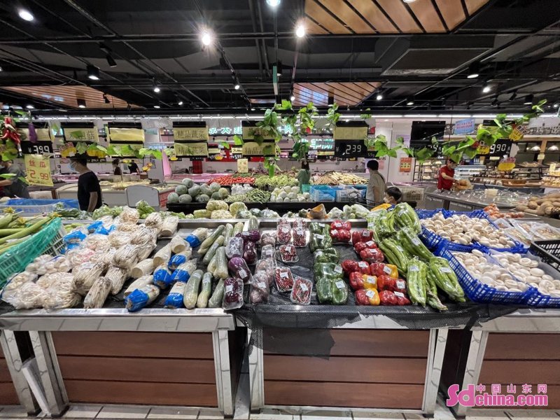 日用百货批发行业的市场动态与趋势分析